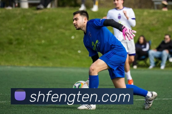 问鼎pg2.8网页版入口平台生态图